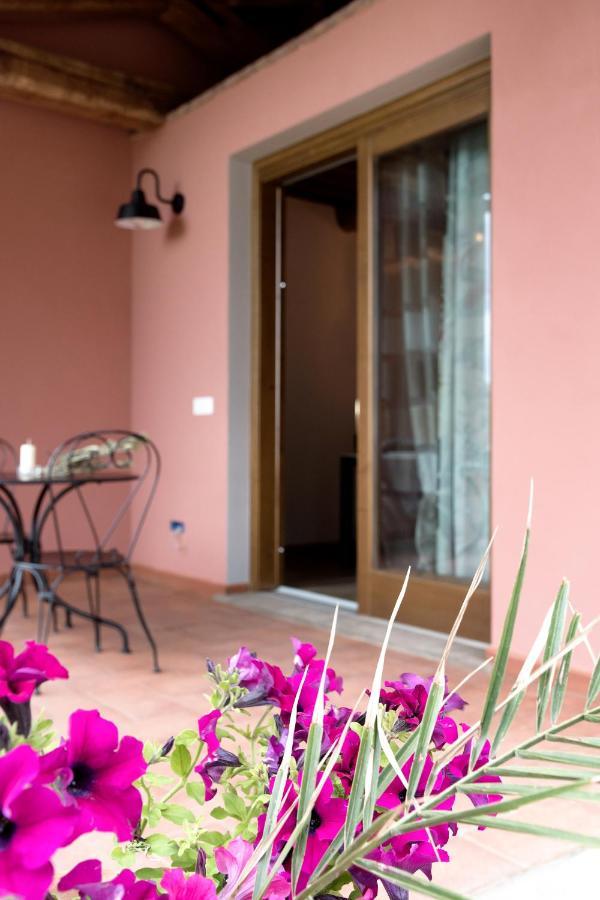 Agriturismo L'Aquilone Magliano in Toscana Kültér fotó