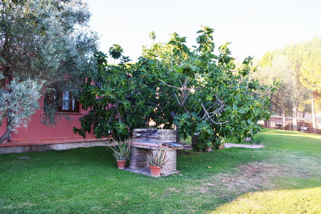 Agriturismo L'Aquilone Magliano in Toscana Kültér fotó