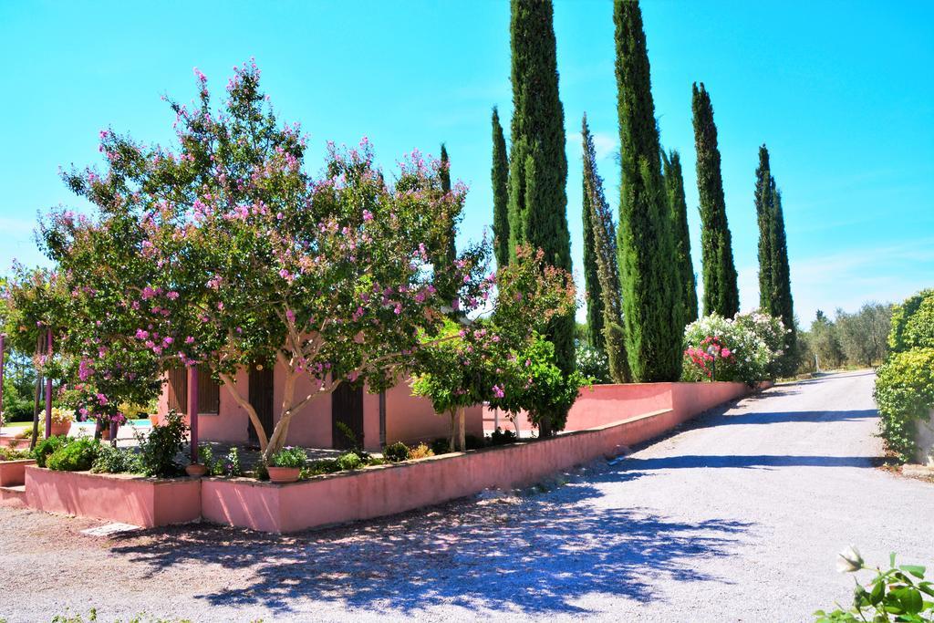 Agriturismo L'Aquilone Magliano in Toscana Kültér fotó