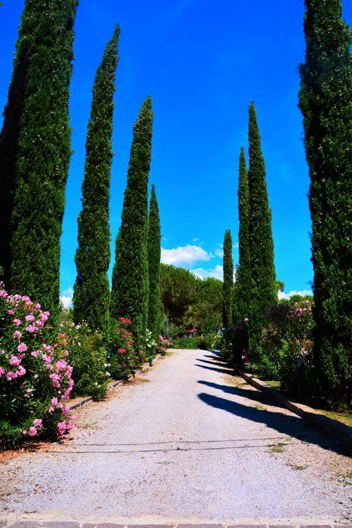 Agriturismo L'Aquilone Magliano in Toscana Kültér fotó