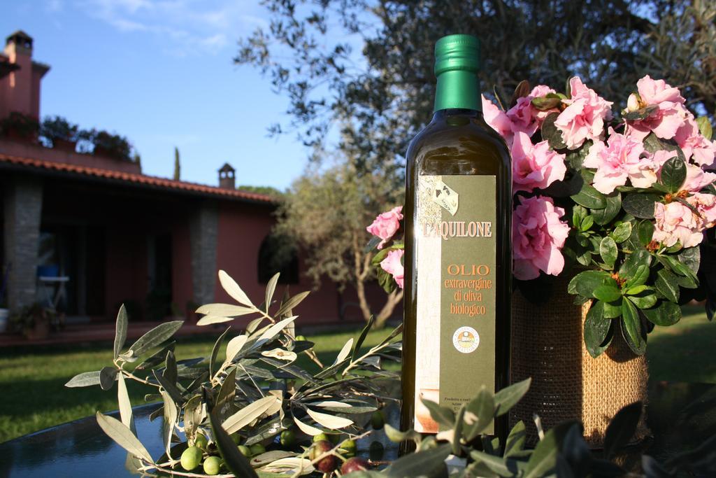 Agriturismo L'Aquilone Magliano in Toscana Kültér fotó