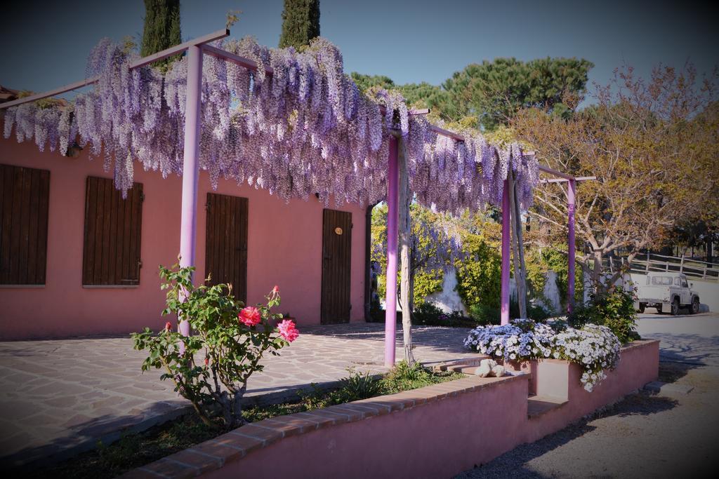 Agriturismo L'Aquilone Magliano in Toscana Kültér fotó