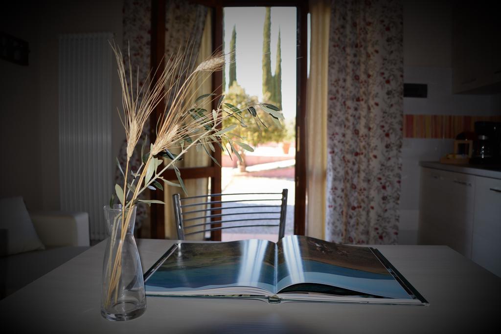 Agriturismo L'Aquilone Magliano in Toscana Kültér fotó