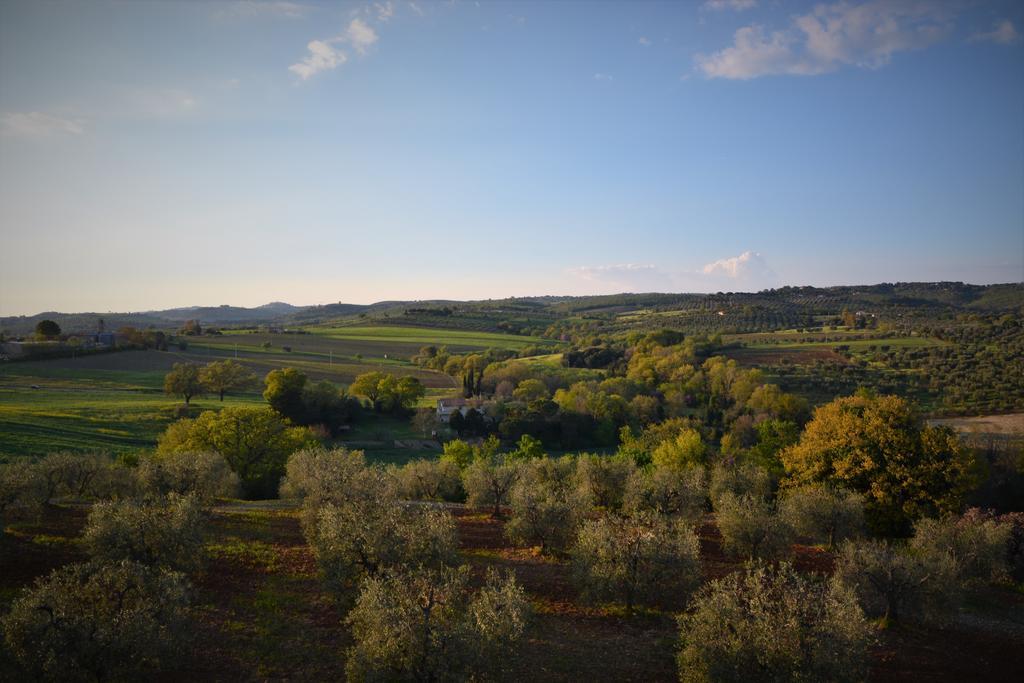 Agriturismo L'Aquilone Magliano in Toscana Kültér fotó