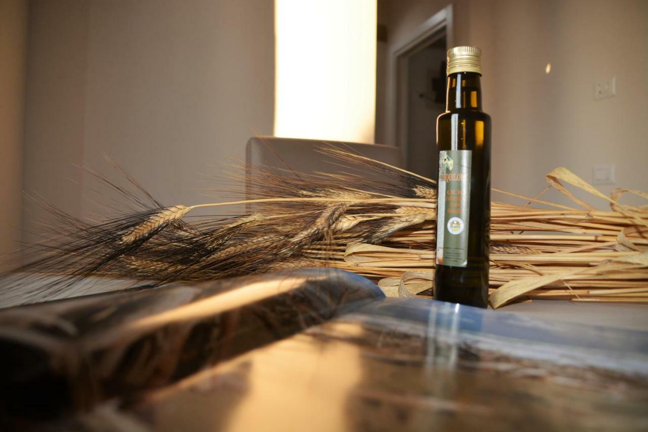 Agriturismo L'Aquilone Magliano in Toscana Kültér fotó